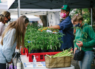 Farmers Market Fun Steamboat Springs Farmers market