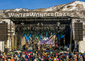 Tips to Help Survive Winter Wonder Grass Winter Wonder Grass