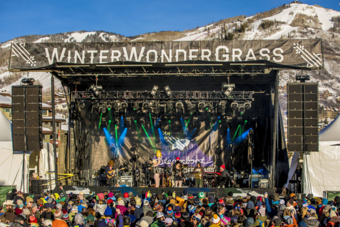 Winter Wonder Grass
