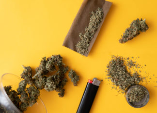 Nuggets of Wisdom – Strains Explained Fresh marihuana. Blunt and Lighters. Cannabis buds on yellow background Background