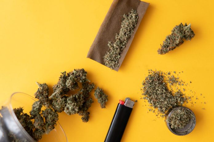 Fresh marihuana. Blunt and Lighters. Cannabis buds on yellow background Background