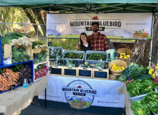 Pardon My Garden : Classic Garden Fails Mountain Bluebird Farm