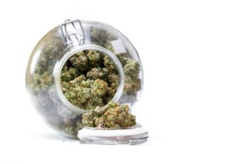 Alternative Dope Names large storage glass jar filled with cannabis buds on a white background