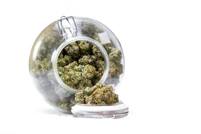 large storage glass jar filled with cannabis buds on a white background