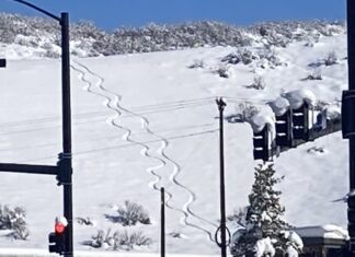 Year of the Dork Line? Dork Lines Steamboat style