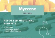 Forget THC. How About Those Terpenes?