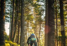 New Downhill Trail on Emerald New Trail Emerald