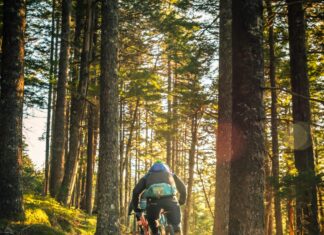 New Downhill Trail on Emerald New Trail Emerald