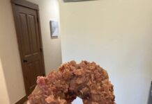 Steamboat’s Best Donut