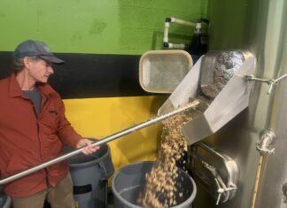 The Making of the Best Day IPA