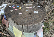 Dog Shrine