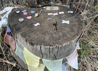Dog Shrine